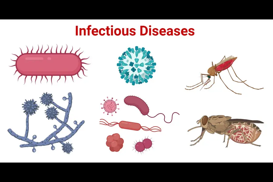Awareness program on infectious diseases